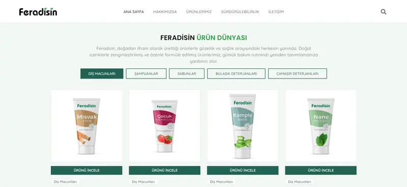 Web Tasarım