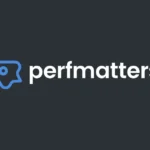 Perfmatters Lisans Satın Al
